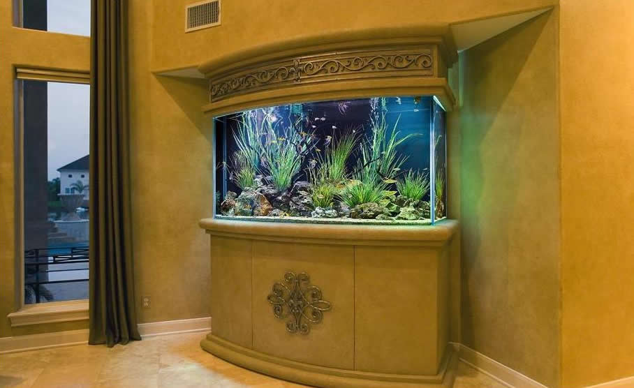 Место расположения аквариума должно быть достаточно тихим и не напротив окна