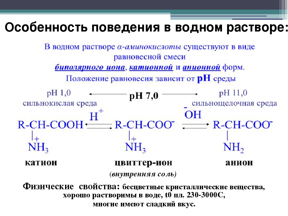 Глицин аланин глутаминовая кислота