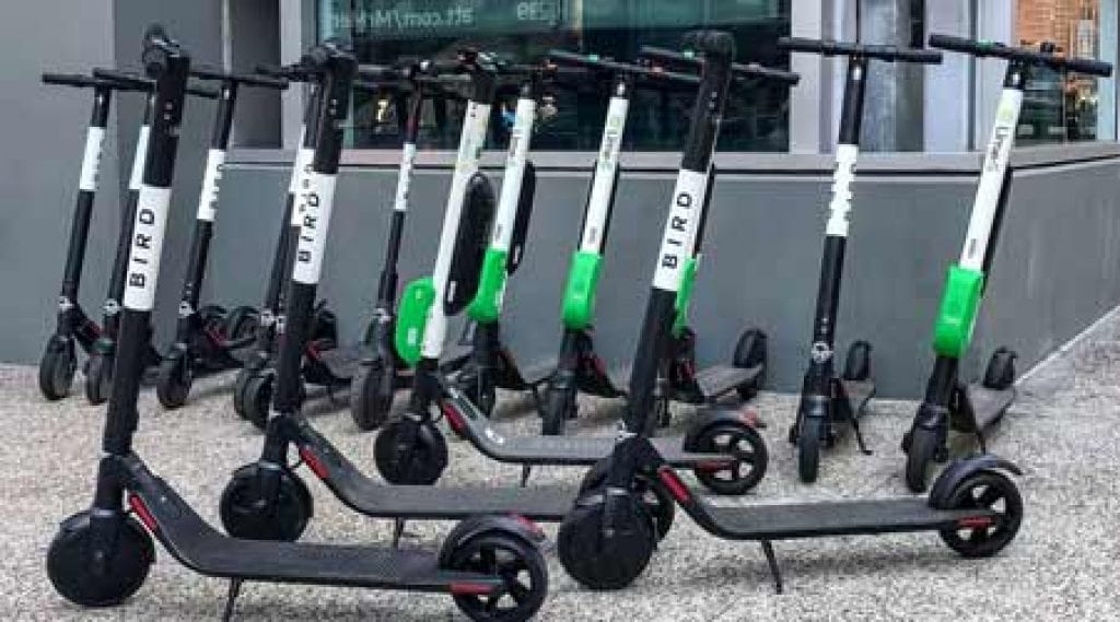 flock of bird scooters share