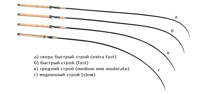 Строй