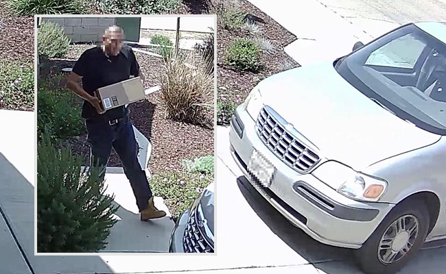 Reolink Camera Caught Package Theft