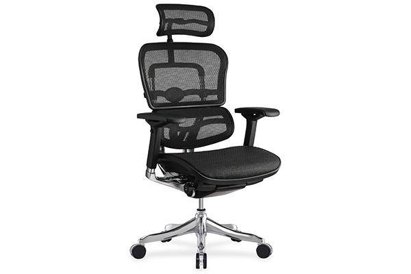 Comfort Seating Ergohuman Plus