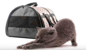 Сумка-переноска для кошек и мелких животных